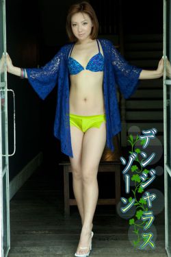 江山风雨情高清